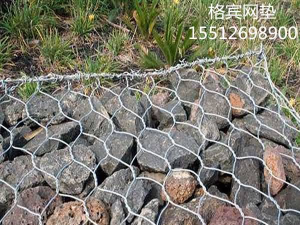 timgUAH5KMHS_副本.jpg