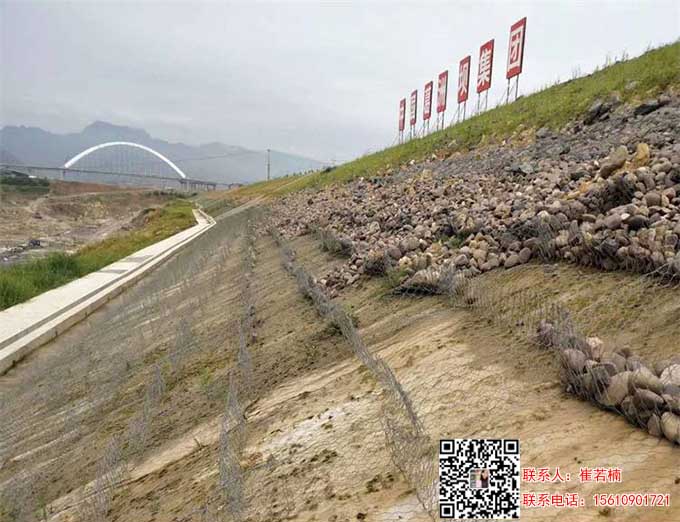 高尔凡雷诺护垫